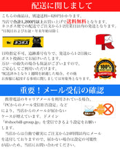 画像をギャラリービューアに読み込む, カラビナ 登山 キャンプ アウトドア 旅行用品 釣り ペツル トレッキング スポーツ ネジロック機能 脱落防止